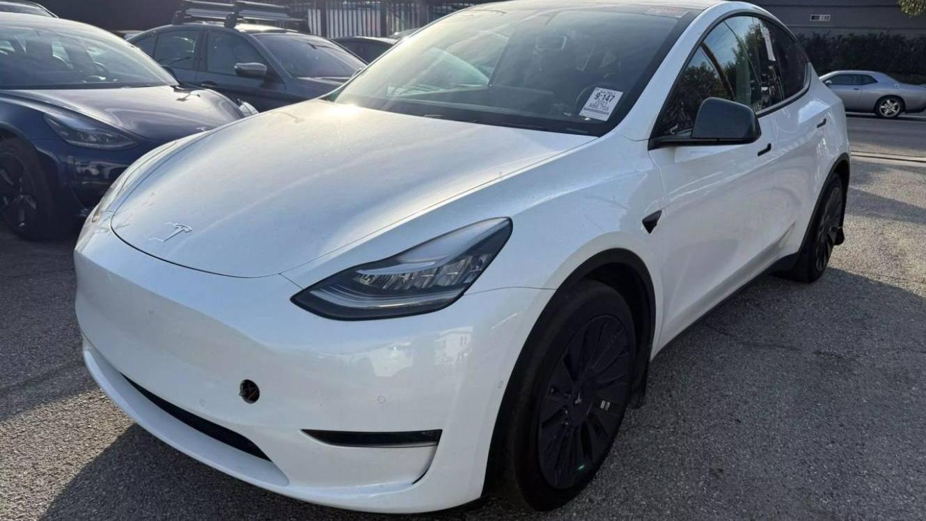 TESLA MODEL Y 2021 5YJYGDEE6MF067817 image